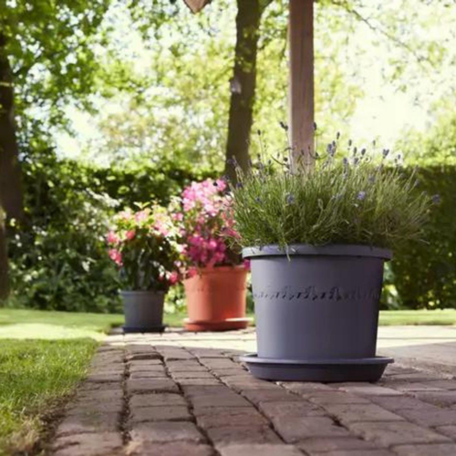 Visuel 5 du produit Pot en plastique recyclé gris anthracite Elho Algarve Cilindro - Ø 48 x H 40 cm