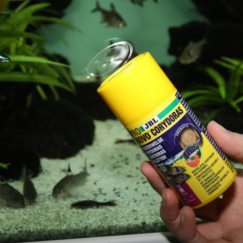 Visuel 4 du produit Aliment en comprimés pour corydoras JBL Pronovo Tab M – 100 ml