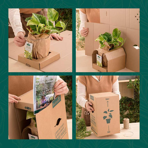 Visuel 3 du produit Cassissier Perles D'Auvergne ®. Le pot de 2 litres