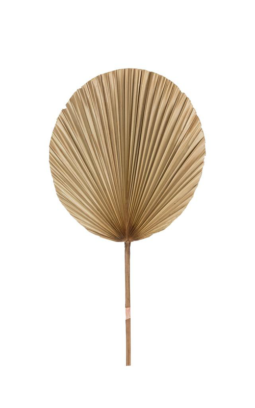 Visuel 1 du produit Décoration feuille ronde coloris beige en feuille de palmier - 35 x 60 cm