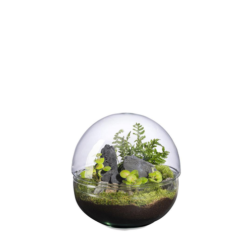 Visuel 1 du produit Terrarium autonome Mini Monde Landscape botanic® - taille M