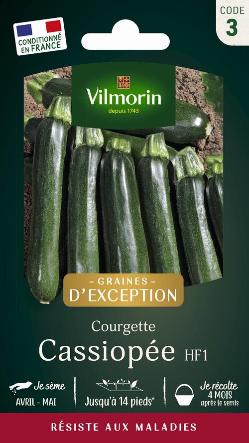 Visuel 1 du produit Graines de courgette cassiopee coloris vert Vilmorin jardin - graines à semer