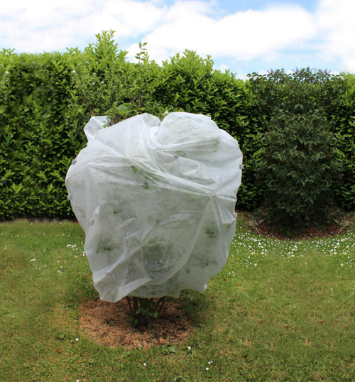 Visuel 2 du produit Voile d'hivernage pour plante extérieure Jany France 30 g/m2 - 10 m