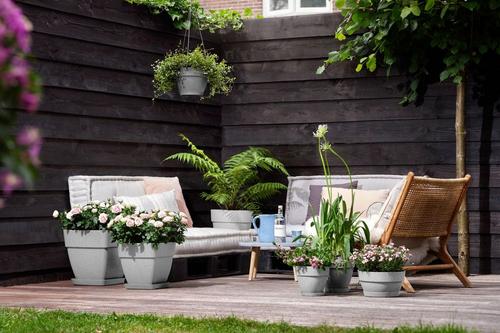 Visuel 4 du produit Coupe coloris living ciment Elho Vibia Campana - Ø 27 x H 14 cm