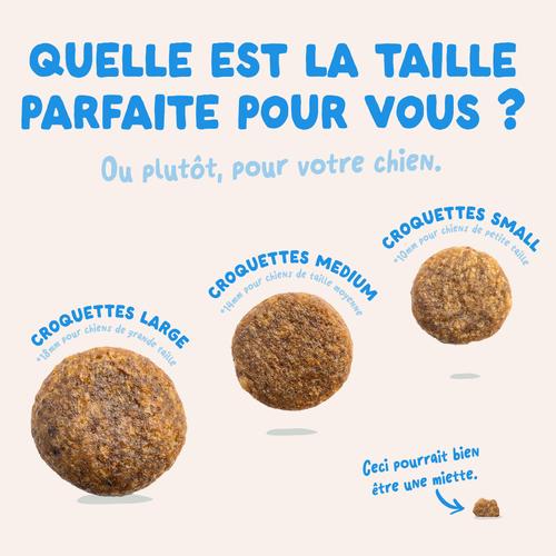 Visuel 6 du produit Croquettes pour chien adulte au saumon sans céréales Edgard & Cooper - 7 kg