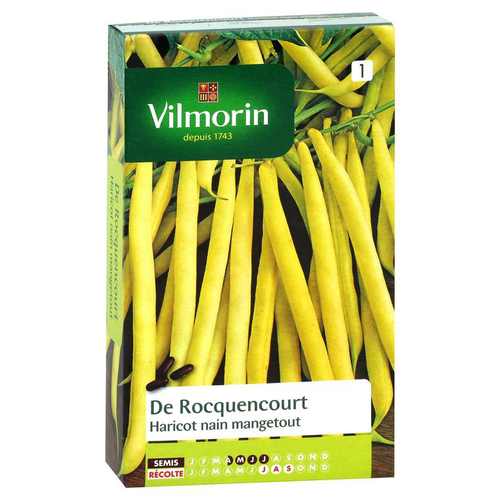 Visuel 1 du produit Haricot nain mangetout de Rocquencourt Vilmorin - graines à semer