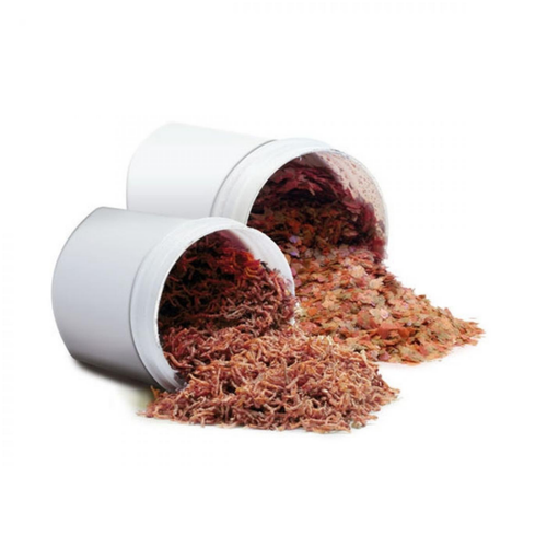 Visuel 7 du produit Distributeur automatique de nourriture, pratique et fiable - JUWEL EasyFeed