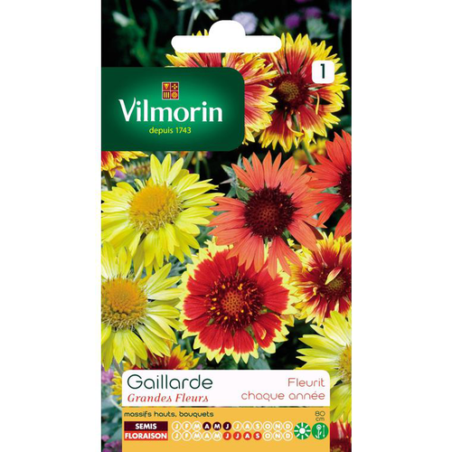 Visuel 1 du produit Gaillarde Grandes fleurs Vilmorin - graines à semer