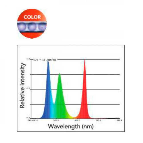 Visuel 2 du produit Rampe lumineuse multicolore SUPERFISH RetroLED - 55cm