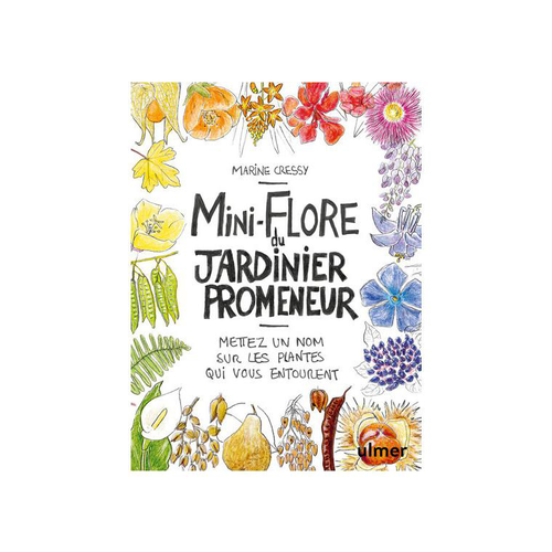 Visuel 1 du produit Livre Mini-Flore du jardinier promeneur aux Éditions Ulmer - 144 pages