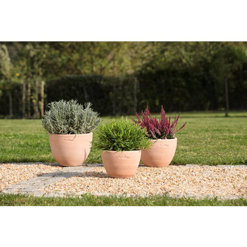 Visuel 2 du produit Pot Cuvier bas contemporain en terre claire H 18 x Ø 25 cm