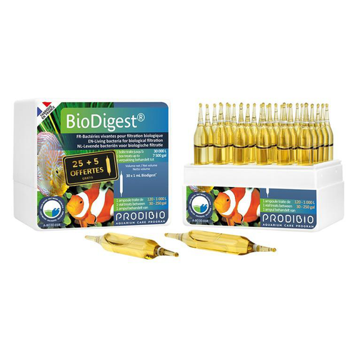 Visuel 1 du produit Ampoules biodigest rééquilibrant bio, PRODIBIO - 30 unités