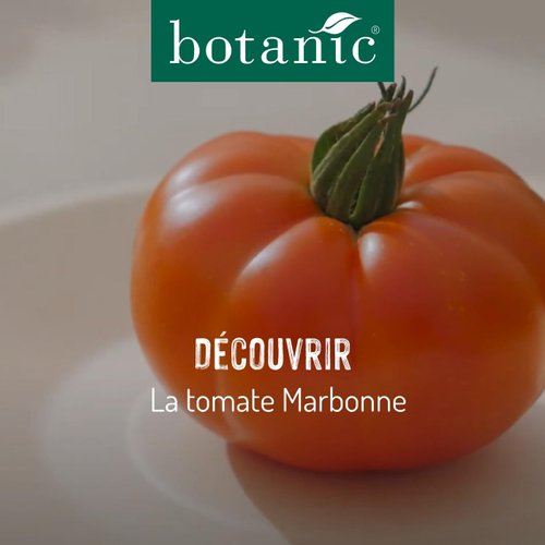 Nos produits signature : La tomate Marbonne