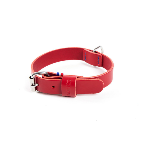 Visuel 1 du produit Collier pour chien en cuir coloris rouge cousu Martin Sellier 499 - Taille 35/70