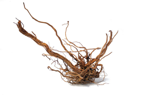 Visuel 1 du produit Racine décorative pour terrarium en bois naturel coloris marron Aquavie racine Curlivigne - Taille L