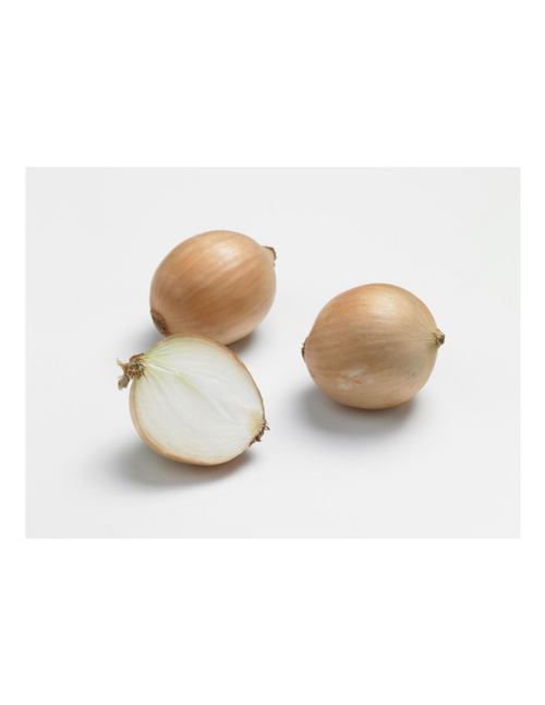 Visuel 1 du produit Oignon Sturon AB bio calibre 10/21 botanic® bulbes à planter - Le filet de 500 g