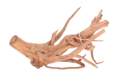 Visuel 1 du produit Racine décorative pour aquarium coloris marron Aquavie vigne rouge rare - Taille M+