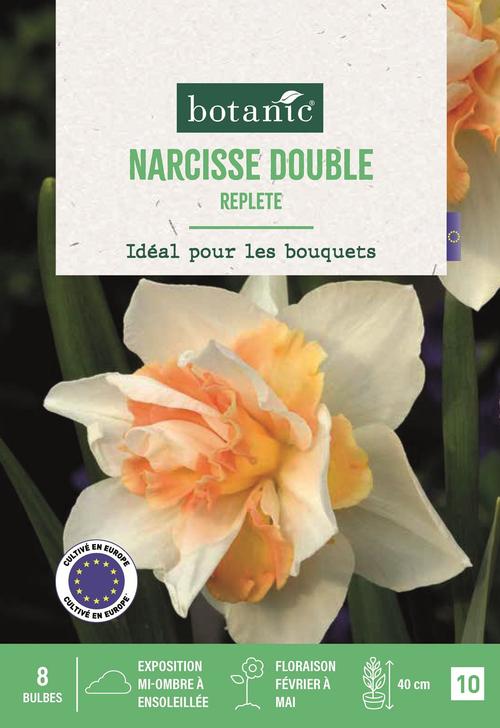 Visuel 1 du produit Narcisse replete X8