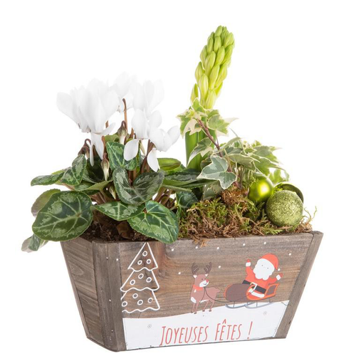 Visuel 1 du produit Composition jardinière multicolore en bois