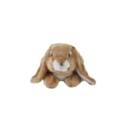 Visuel 1 du produit Lapin lop eared marron Living Nature