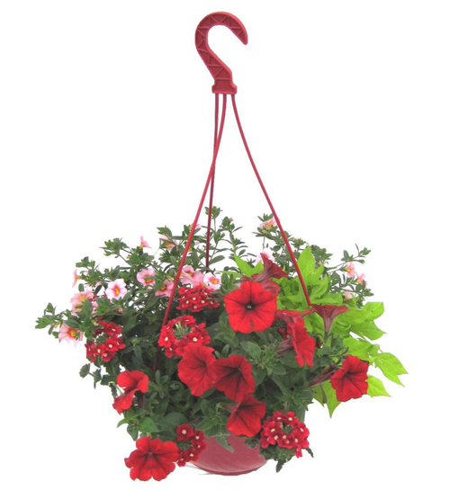 Visuel 2 du produit Suspension plantes fleuries mélange de saison coloris multicolore - Ø 27 cm