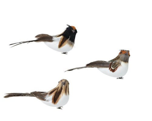 Visuel 1 du produit Oiseau vert en mousse sur clip - 5 x 13 x 6 cm