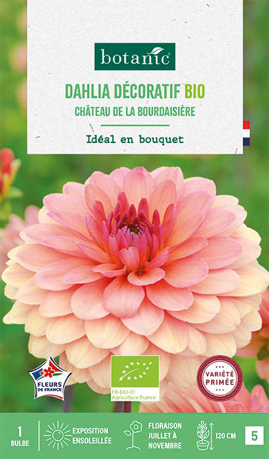 Visuel 1 du produit Bulbe de fleurs Dahlia décoratif Château de la Bourdaisière bio botanic® - 1 bulbe