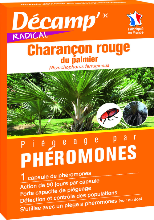 Visuel 1 du produit Piégeage par phéromones anti charançon rouge du palmier Décamp