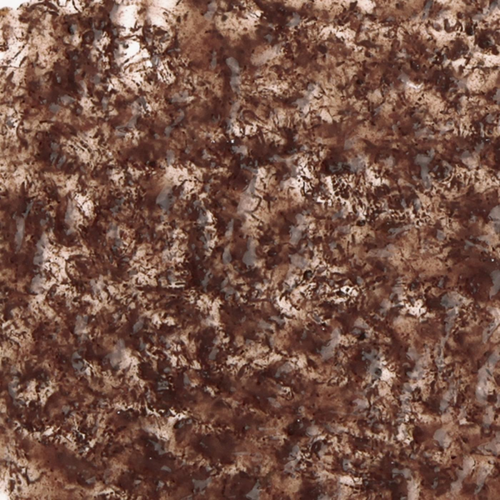 Visuel 2 du produit FreshDelica Blood-Worms Natural Snack - TETRA - 16x3g (48g total)