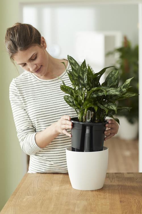 Visuel 6 du produit Self-watering insert d’arrosage automatique living noir Elho - 24 cm