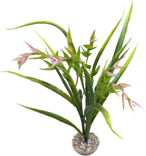 Visuel 1 du produit Plante artificielle pour aquarium coloris vert et rose LABEO Tillandsia PM