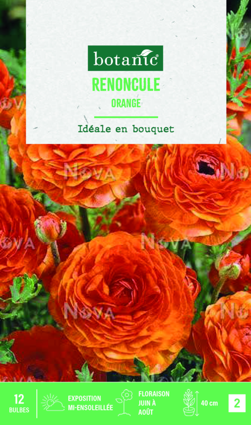 Visuel 1 du produit Bulbes de fleurs Renoncule asiatique orange botanic® – 12 bulbes