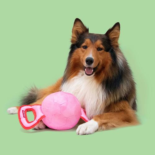 Visuel 4 du produit Jouet pour chien coloris multicolore à tirer Coockoo Power Pully - Taille M 35 x 17 x 17 cm