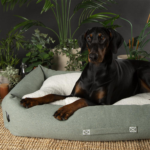Visuel 3 du produit Couchage pour chien coloris vert corbeille Scruffs Eco Eden - Taille XL 90 x 70 cm