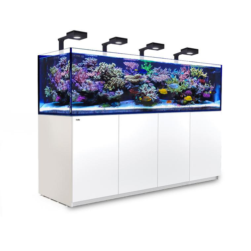 Visuel 1 du produit Aquarium eau de mer avec un meuble coloris blanc Reefer™ Deluxe 3XL 900 Red Sea - 200 x 65 x 153 cm