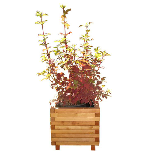Visuel 1 du produit Bac carré coloris beige en bois huilé FSC - 50 x 50 x 45 cm