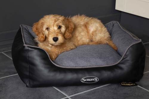 Visuel 6 du produit Corbeille à mémoire de forme pour chien gris Hilton Scruffs – Taille S