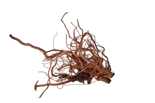 Visuel 1 du produit Racine décorative pour terrarium en bois naturel coloris marron Aquavie racine Curlivigne - Taille XL
