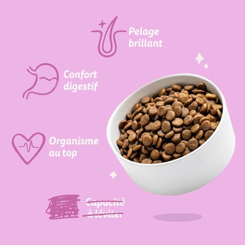 Visuel 7 du produit Croquettes pour chien adulte au chevreuil et au canard sans céréales Edgard & Cooper - 2,5 kg