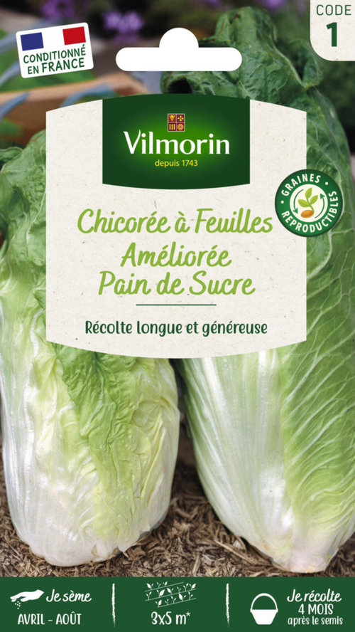 Visuel 1 du produit Chicorée Sauvage Pain de Sucre Vilmorin - graines à semer