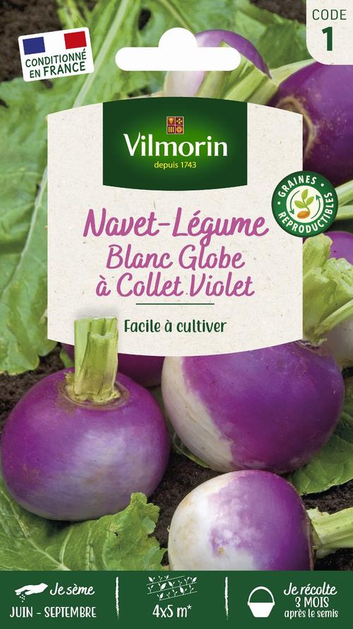 Visuel 1 du produit Graines de navet légume blanc globe coloris violet Vilmorin jardin - graines à semer