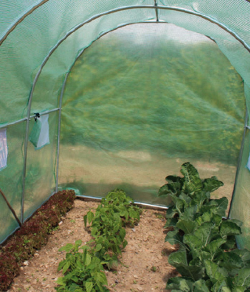 Visuel 2 du produit Serre tunnel 12m², bâche PE 140 g/m² - JANY FRANCE