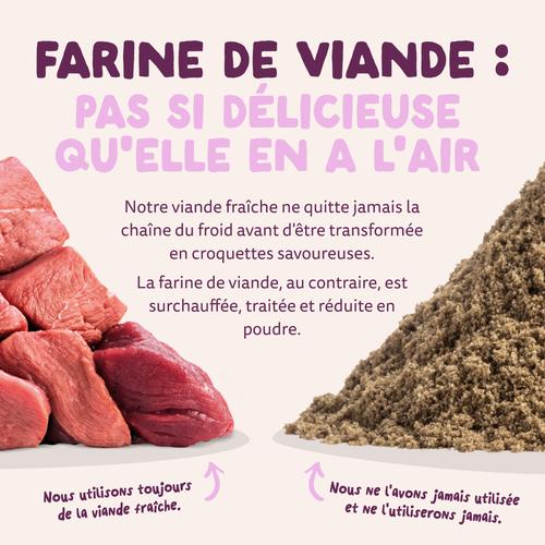 Visuel 10 du produit Croquettes pour chien adulte au chevreuil et au canard sans céréales Edgard & Cooper - 2,5 kg