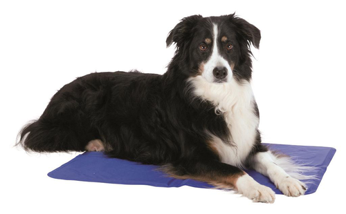 Visuel 1 du produit Tapis rafraîchissant pour chien coloris bleu Trixie - 40 x 50 cm