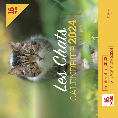 Visuel 1 du produit Les Chats calendrier 2024 - Métive - Multicolore 30 x 29 cm
