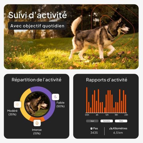Visuel 3 du produit Traceur GPS pour chien coloris noir sans collier Weenect XT
