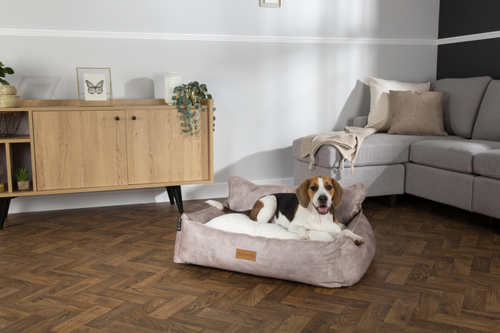 Visuel 5 du produit Corbeille pour chien beige Kensington Scruffs – Taille M