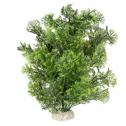 Visuel 1 du produit Plante artificielle Phoenix L, taille 30cm, AQUA DELLA
