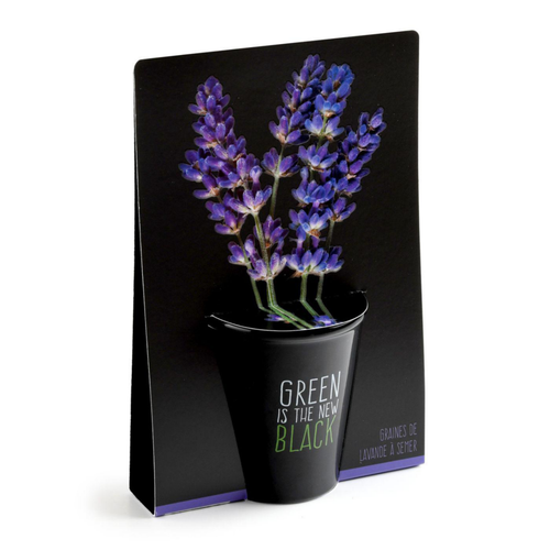 Visuel 1 du produit Pot en terre cuite black avec grains de lavande bio Radis & Capucine Green is the new black