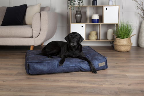 Visuel 5 du produit Coussin pour chien bleu Kensington – Taille M